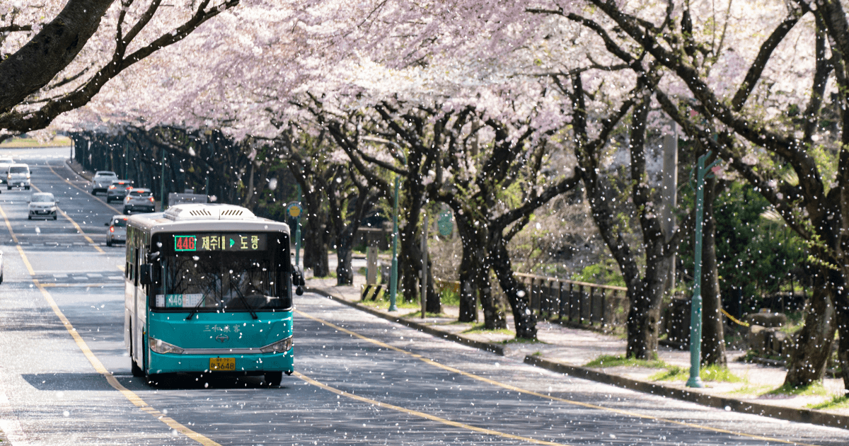 Pemandangan Korea Selatan — destinasi eSIM GoSIMin